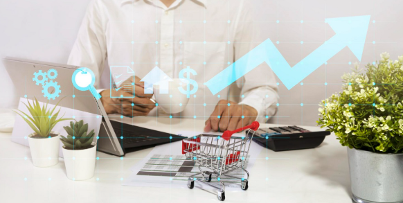The Role of Technology in E-Commerce Growth